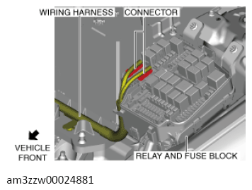 G13556482