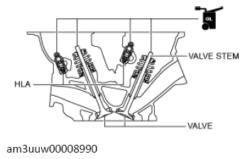 G13556517