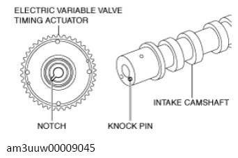 G13556526