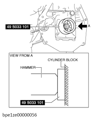 G13556549