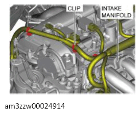 G13556562