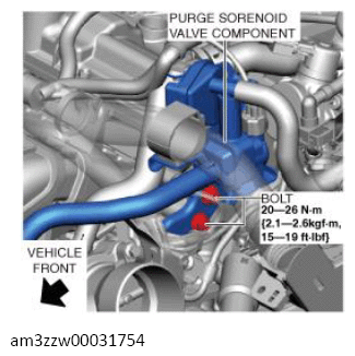 G13556564
