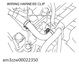 G13556569