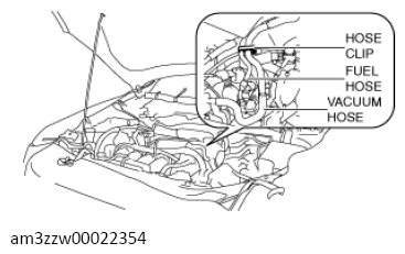 G13556574