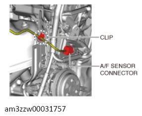 G13556577