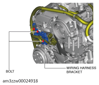 G13556579