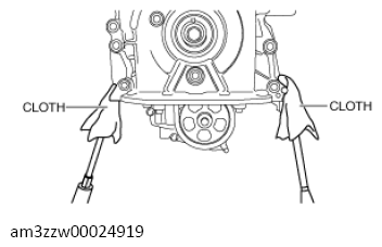 G13556580