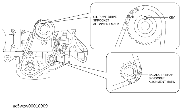 G13556588