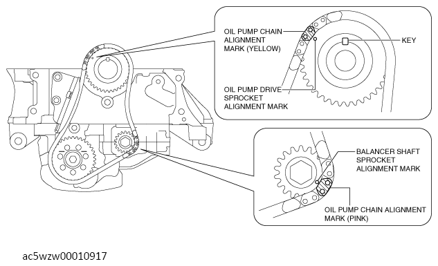 G13556598
