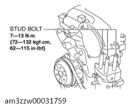 G13556616