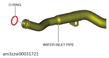 G13556649