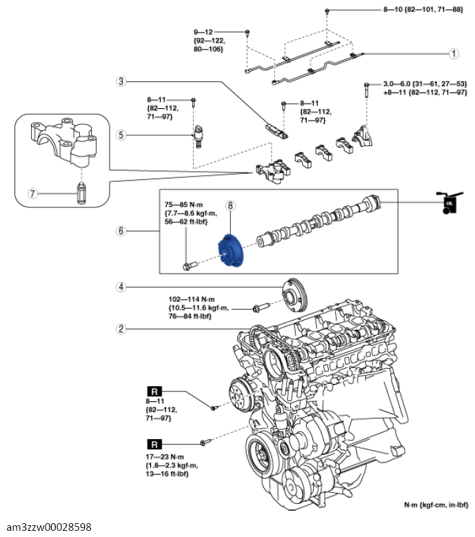 G13556674