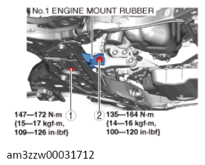 G13556775