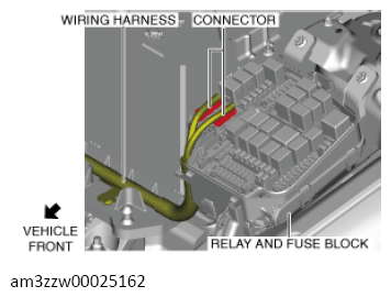 G13556779