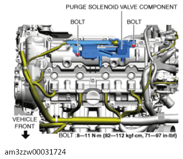 G13556864