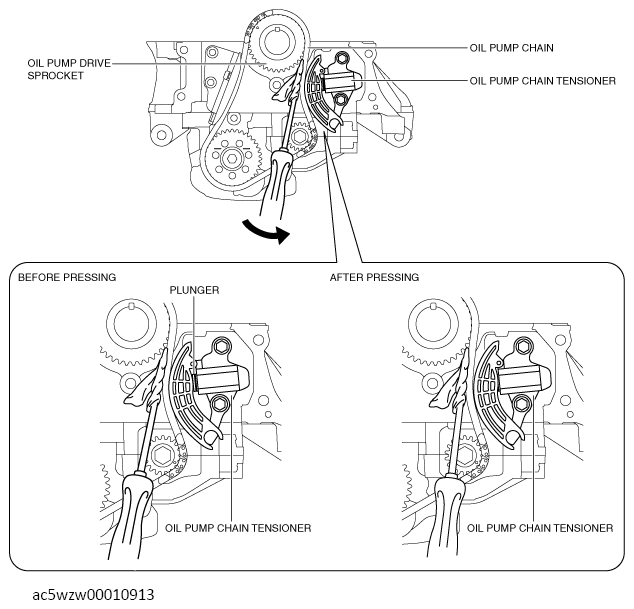 G13556897