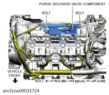 G13556934