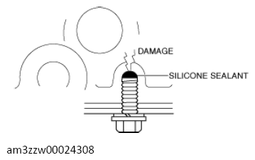 G13556962
