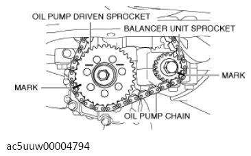 G13556979