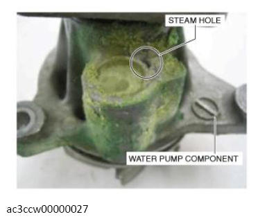 G13557050
