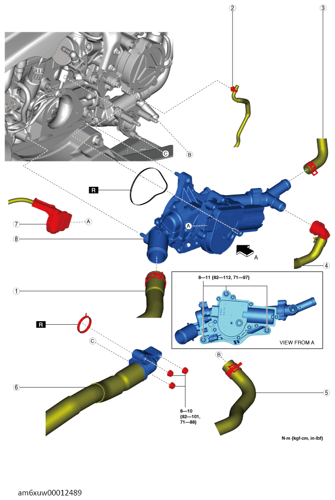 G13557052