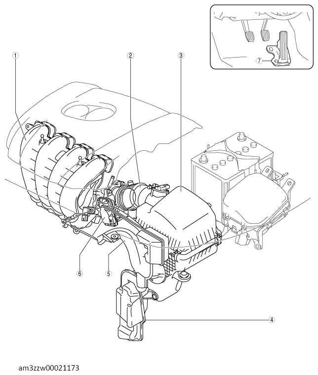 G13557097