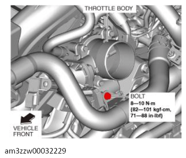G13557124