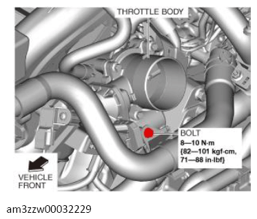 G13557127