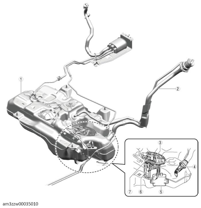 G13557189