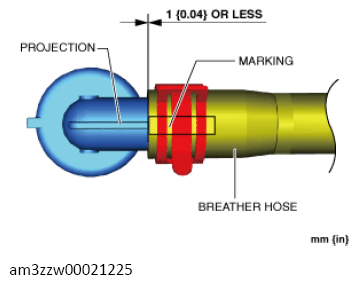 G13557204