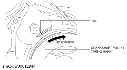 G13557225