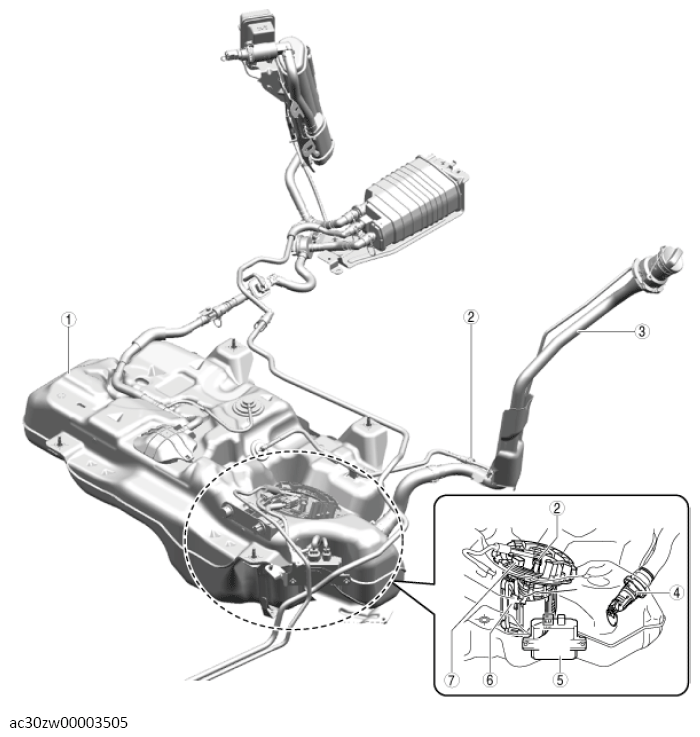G13557288