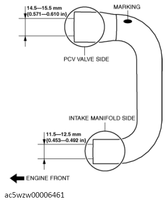 G13557445