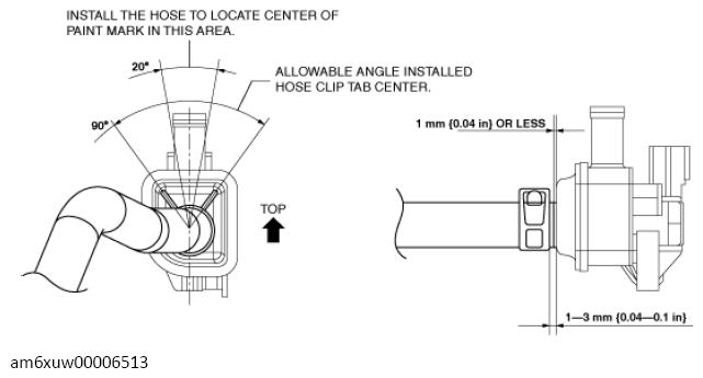 G13557459
