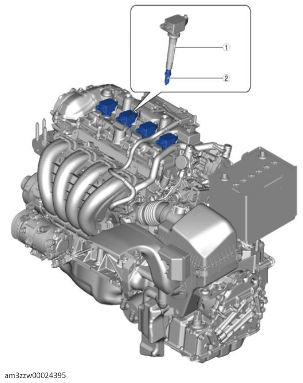 G13557541