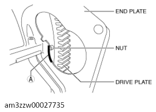 G13557564