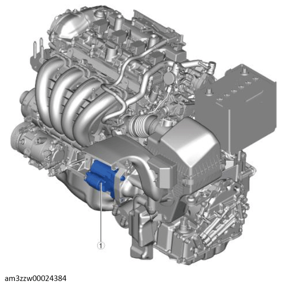G13557585