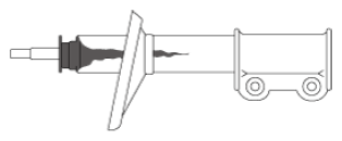 G13557850