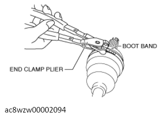 G13557956