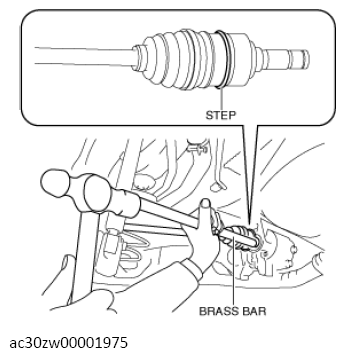 G13558021