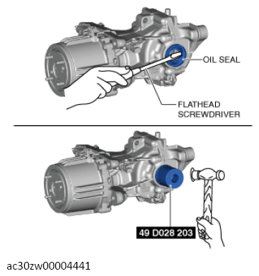 G13558029