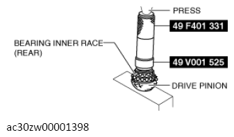 G13558049