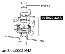 G13558061