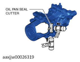 G13558098