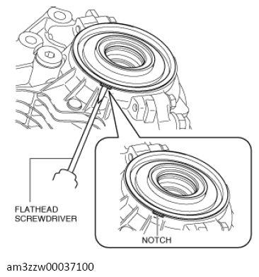G13558131