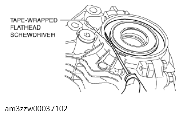 G13558134