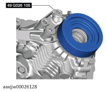 G13558181
