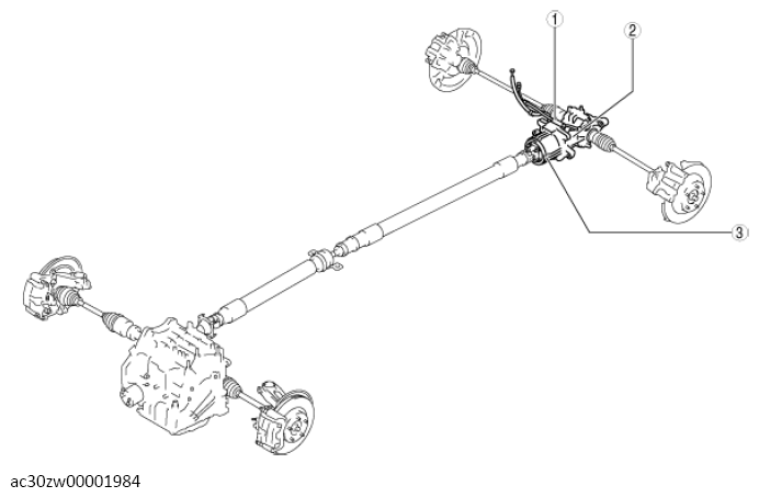 G13558206