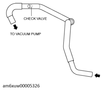 G13558356