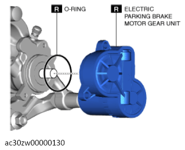 G13558365